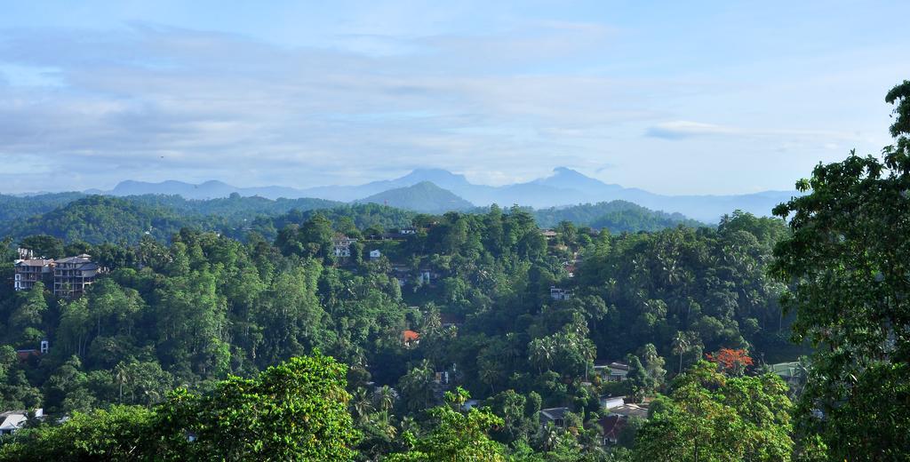 Primrose Inn Kandy Zimmer foto